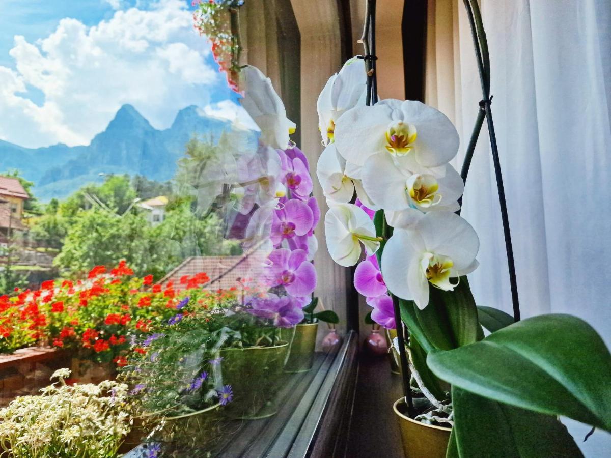 Amor Tirol Busteni (Adults Only) Exterior foto